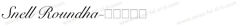 Snell Roundha字体转换